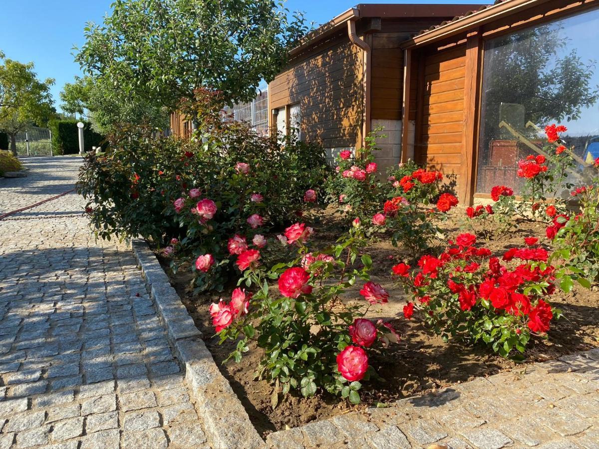 Gites Des Sablons Châtillon-sur-Marne Екстериор снимка