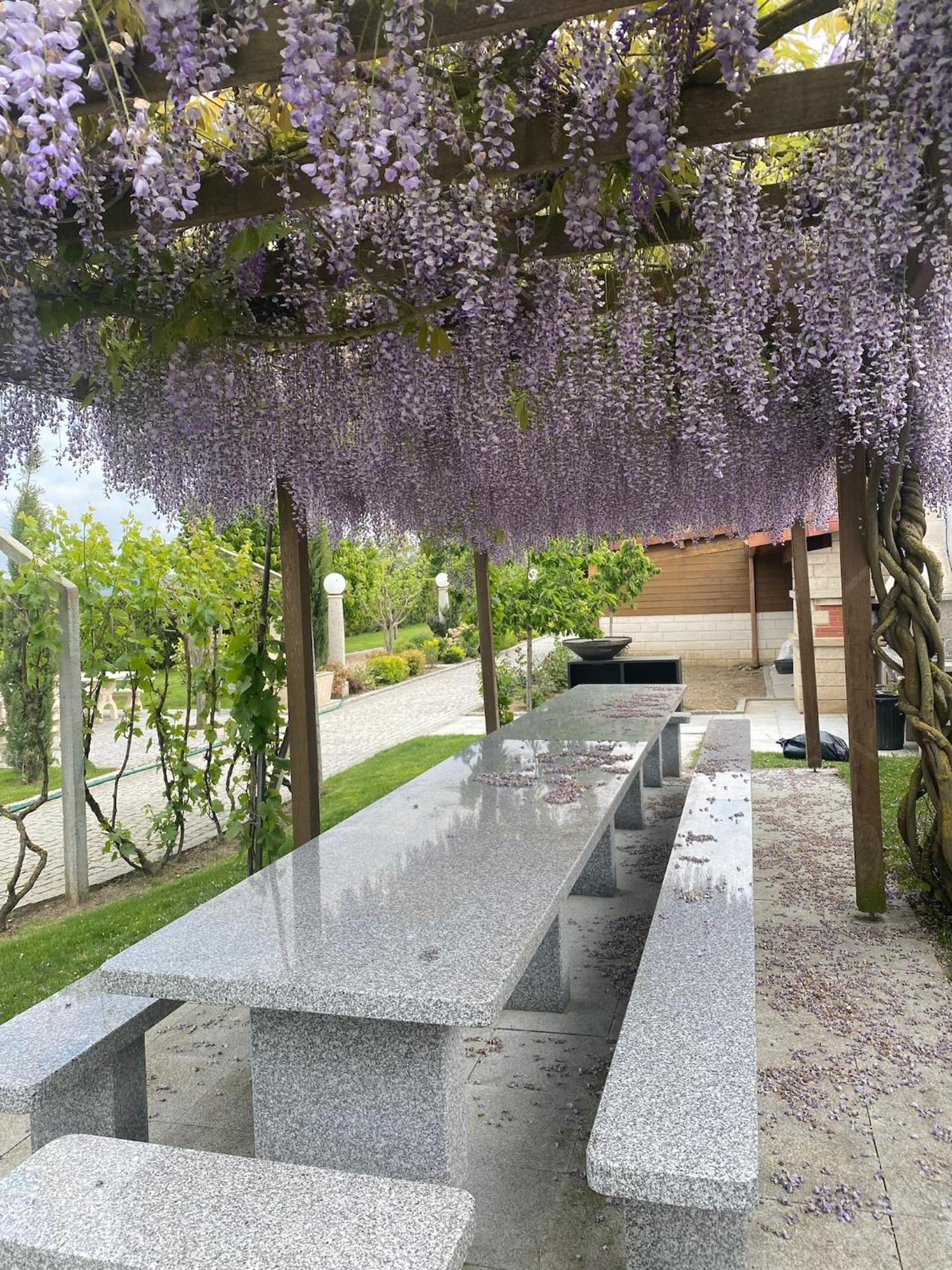 Gites Des Sablons Châtillon-sur-Marne Екстериор снимка
