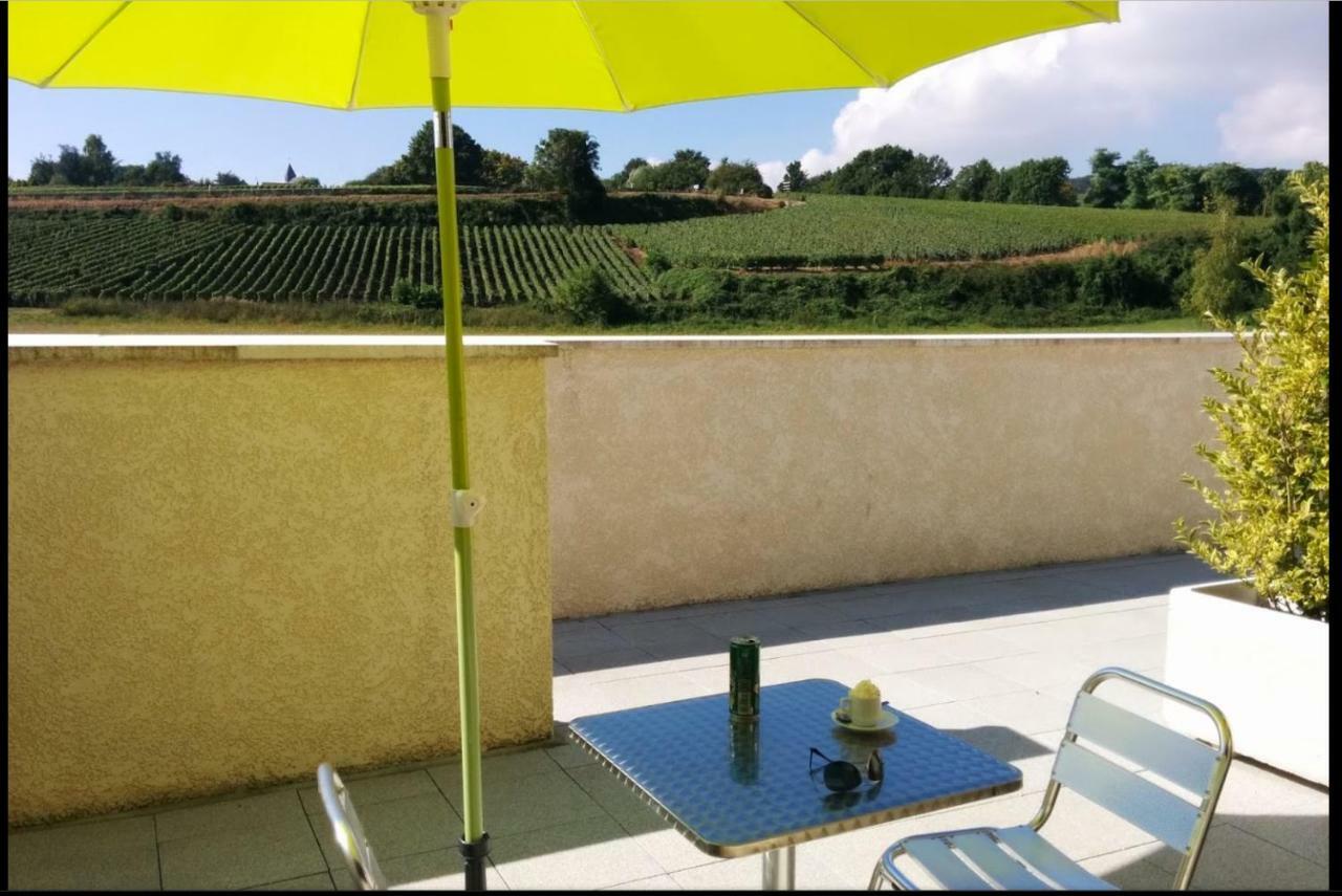 Gites Des Sablons Châtillon-sur-Marne Екстериор снимка